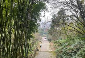 陈姝娟
